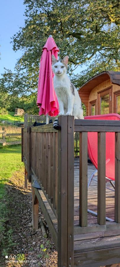Ma Roulotte Sous Les Chenes "La Passionnee" Hotel Raon-aux-Bois Exterior foto