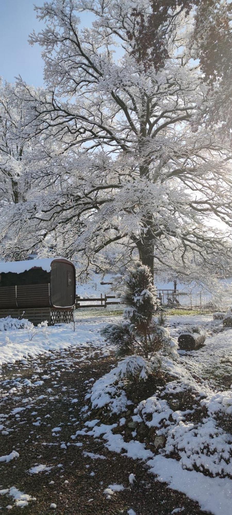 Ma Roulotte Sous Les Chenes "La Passionnee" Hotel Raon-aux-Bois Exterior foto