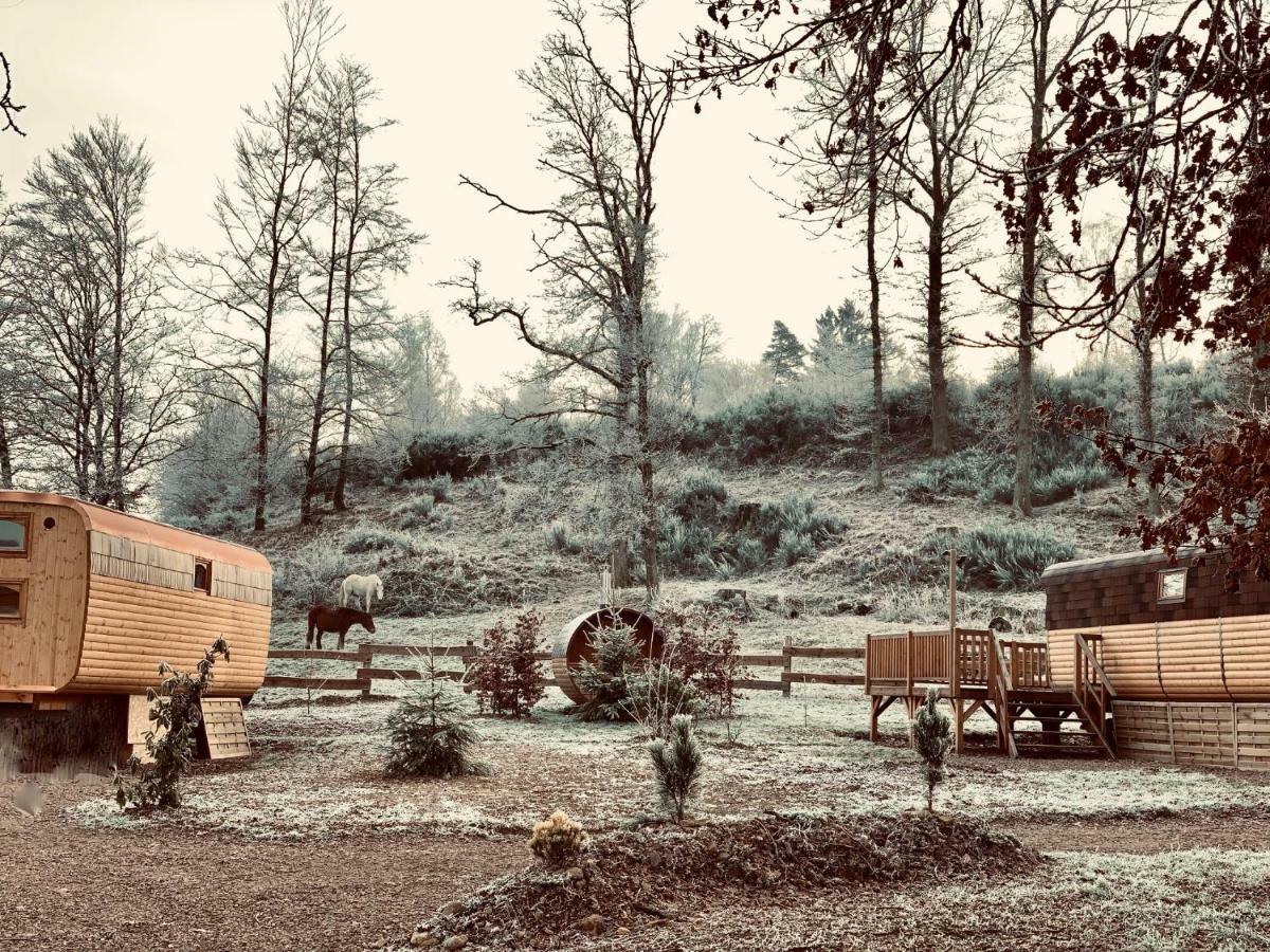 Ma Roulotte Sous Les Chenes "La Passionnee" Hotel Raon-aux-Bois Exterior foto