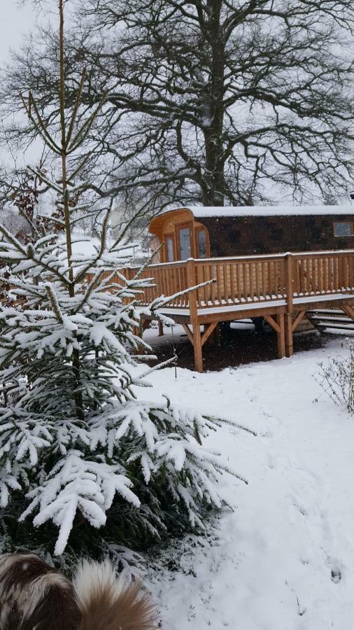 Ma Roulotte Sous Les Chenes "La Passionnee" Hotel Raon-aux-Bois Exterior foto